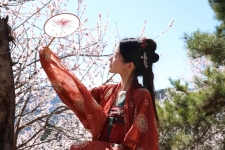 赏花看剧,新乡南太行多重福利一键解锁