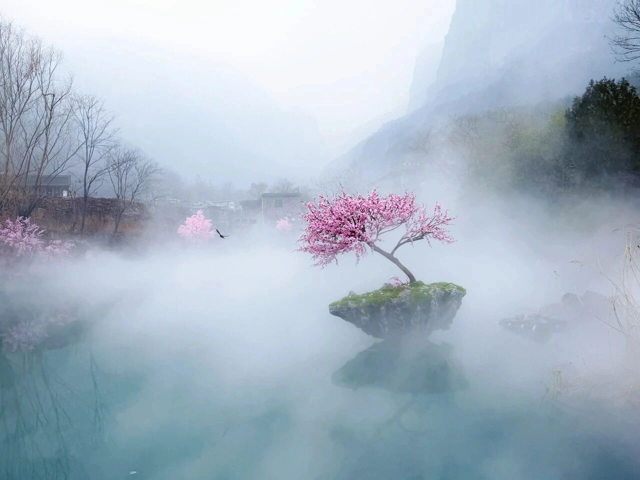 新乡南太行 | 春雨过后，诗与繁花皆可期