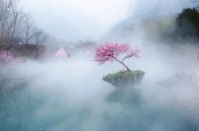 新乡南太行 | 春雨过后,诗与繁花皆可期