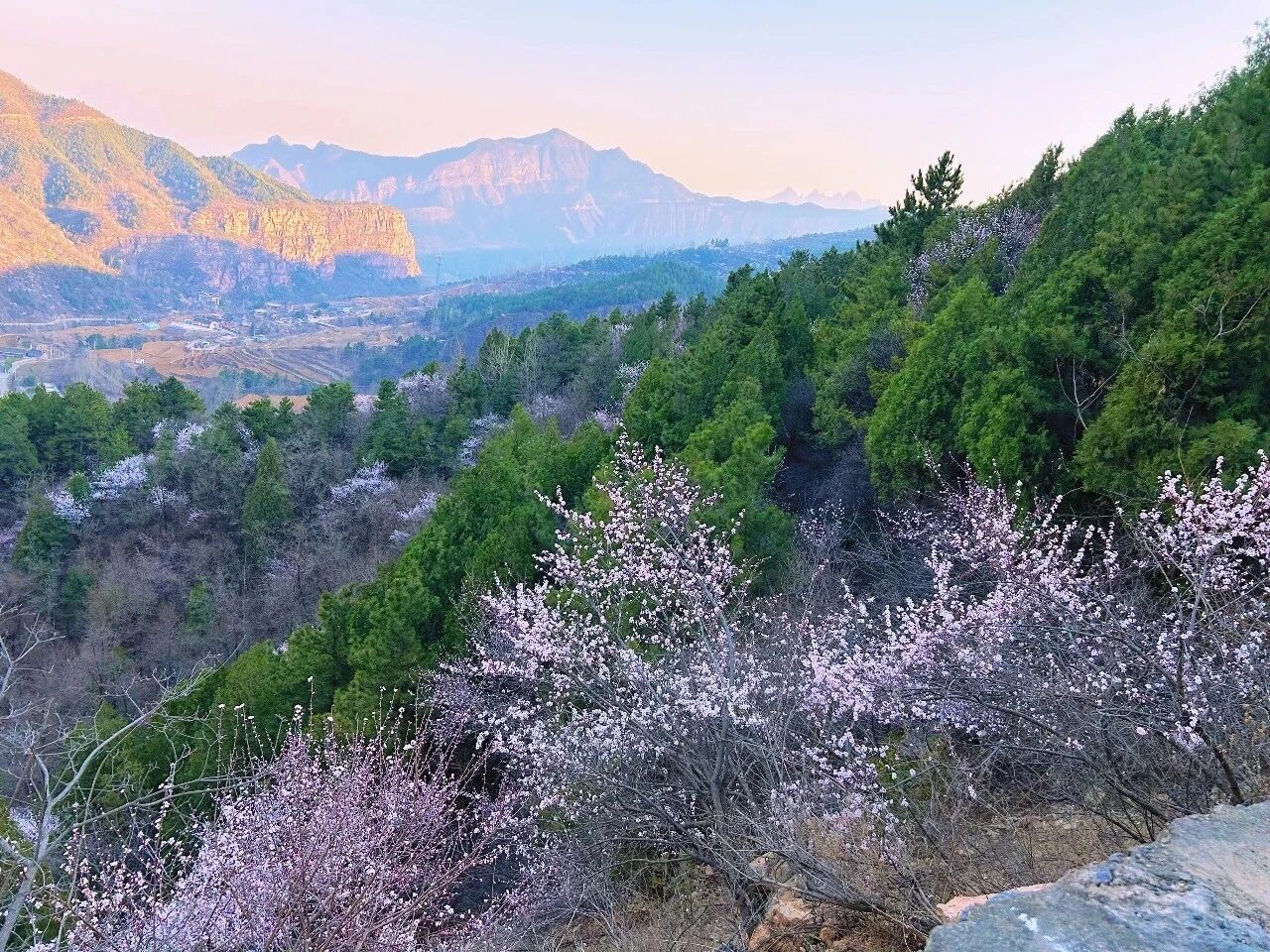 新乡南太行的春天怎能没有你！