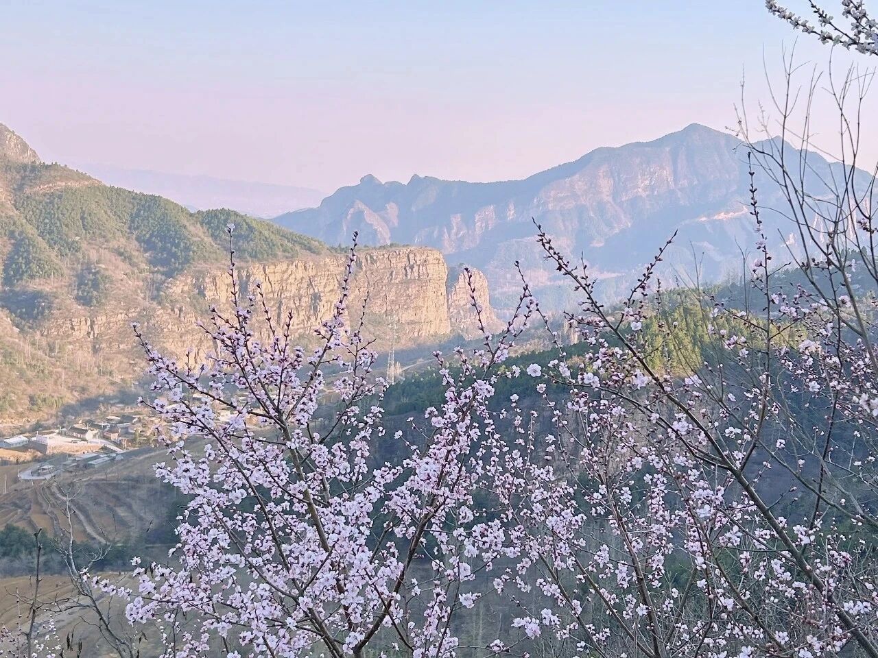 新乡南太行的春天怎能没有你！
