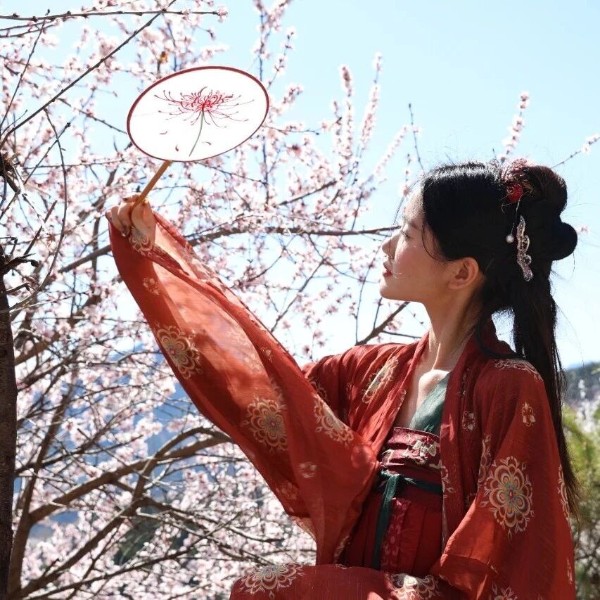 新乡南太行的春天怎能没有你！