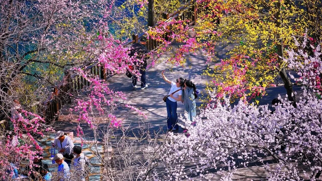 新乡南太行的春天怎能没有你！