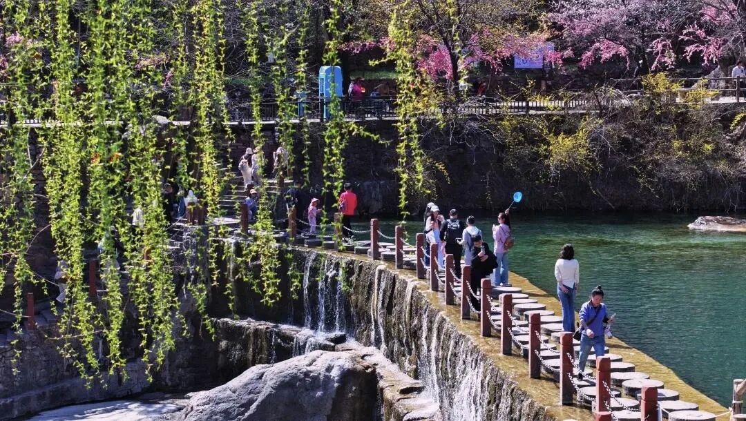 新乡南太行的春天怎能没有你！