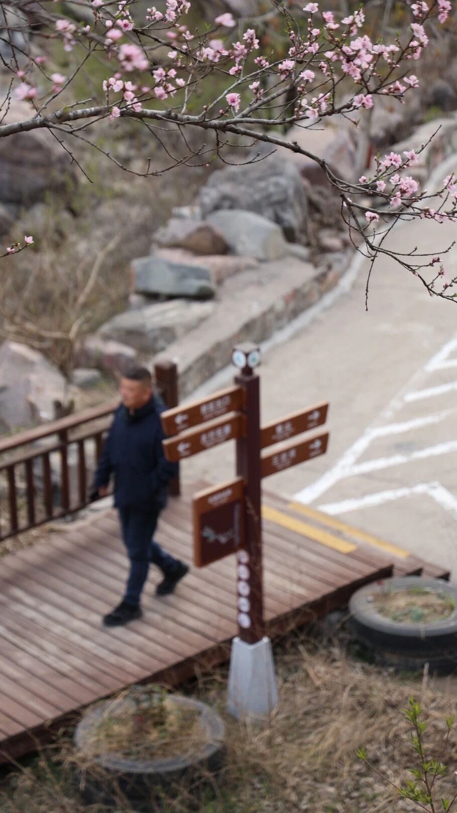 三月不冲亏大了！AI替你打工，你去新乡南太行“驯养”春天！秋沟世外桃源上线，错过等一年！