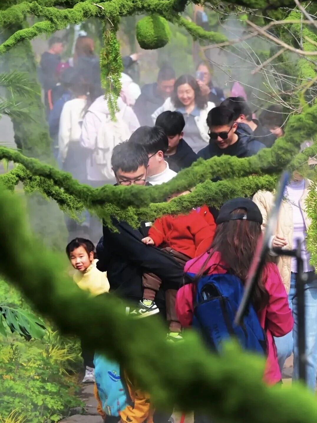 八里沟鲁冰花上线,赴一场春日花事 八里沟鲁冰花上线,赴一场春日花事