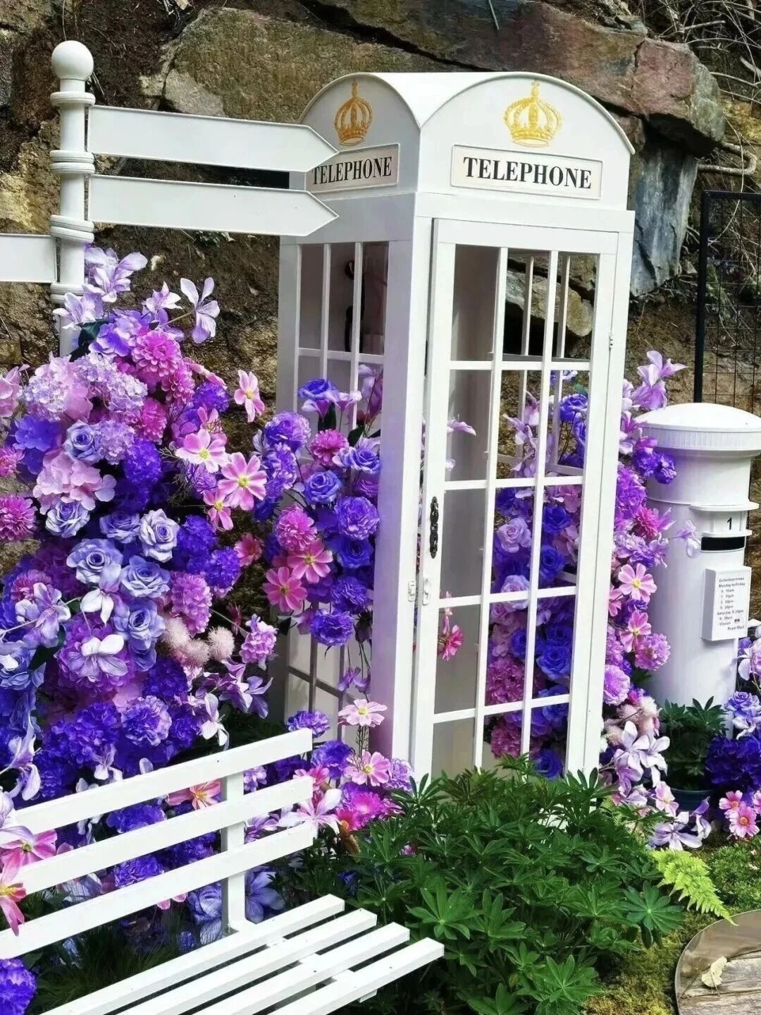 八里沟鲁冰花上线,赴一场春日花事 八里沟鲁冰花上线,赴一场春日花事