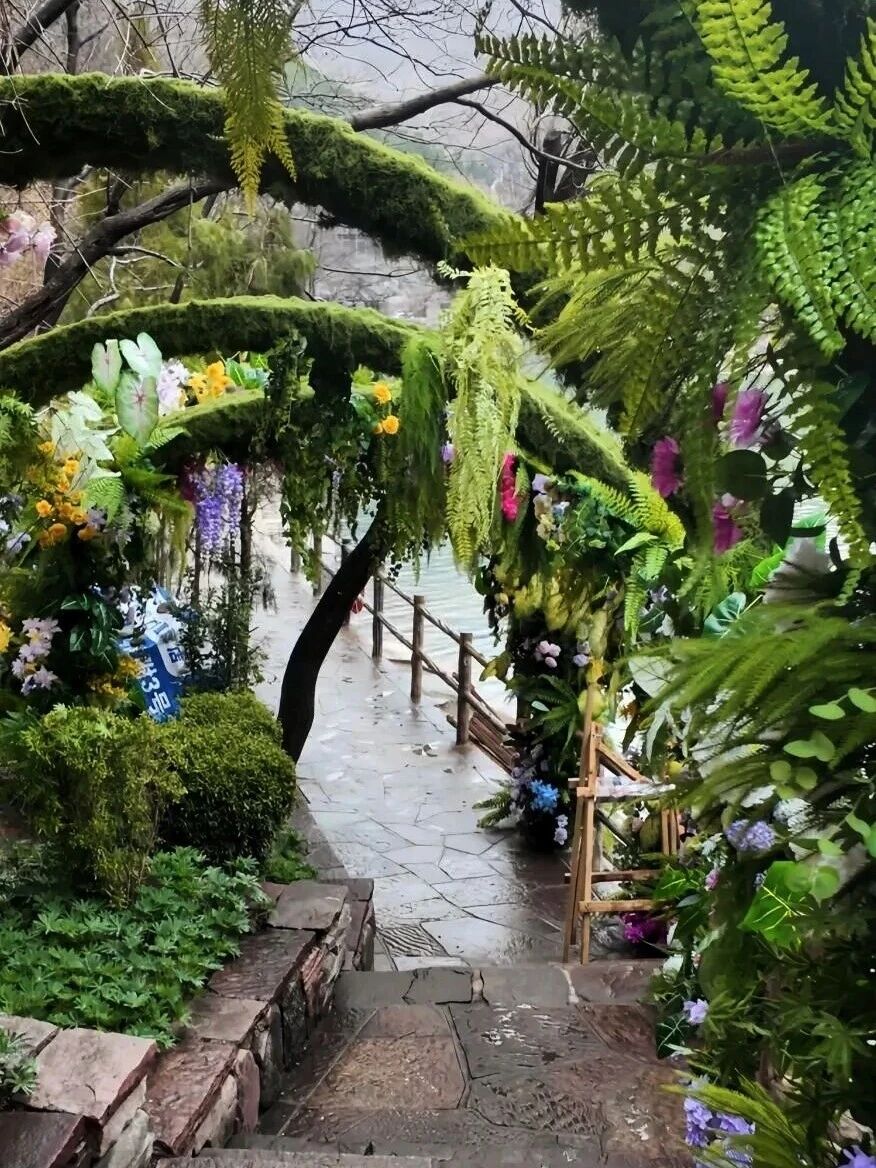 八里沟鲁冰花上线,赴一场春日花事 八里沟鲁冰花上线,赴一场春日花事