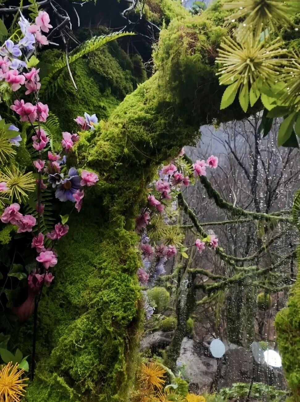 八里沟鲁冰花上线,赴一场春日花事 八里沟鲁冰花上线,赴一场春日花事