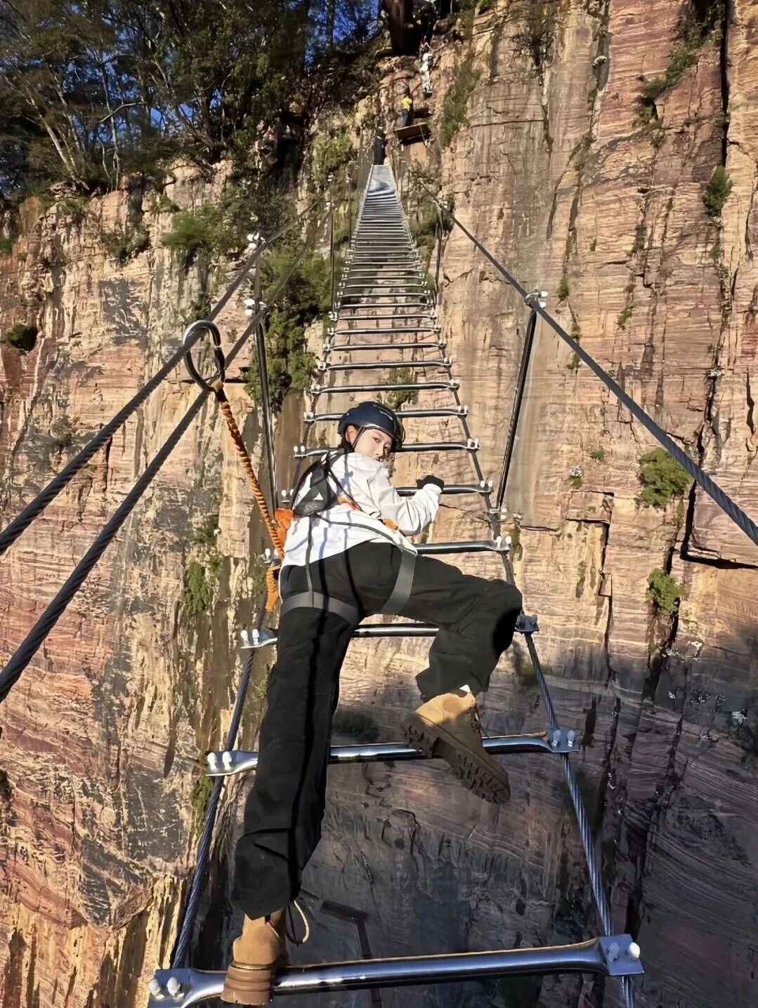 八里沟鲁冰花上线,赴一场春日花事 八里沟鲁冰花上线,赴一场春日花事