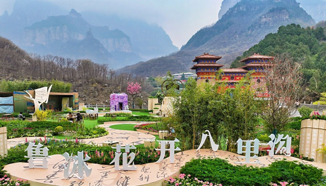 一眼心动!新乡南太行“鲁冰花海”上线 一眼心动!新乡南太行“鲁冰花海”上线