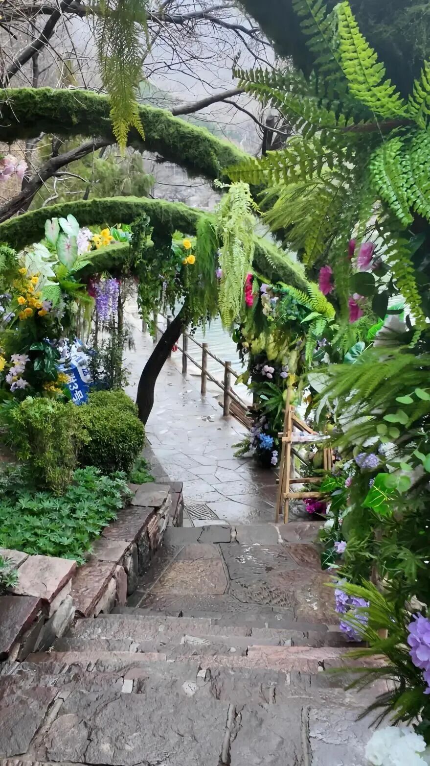 一眼心动!新乡南太行“鲁冰花海”上线 一眼心动!新乡南太行“鲁冰花海”上线