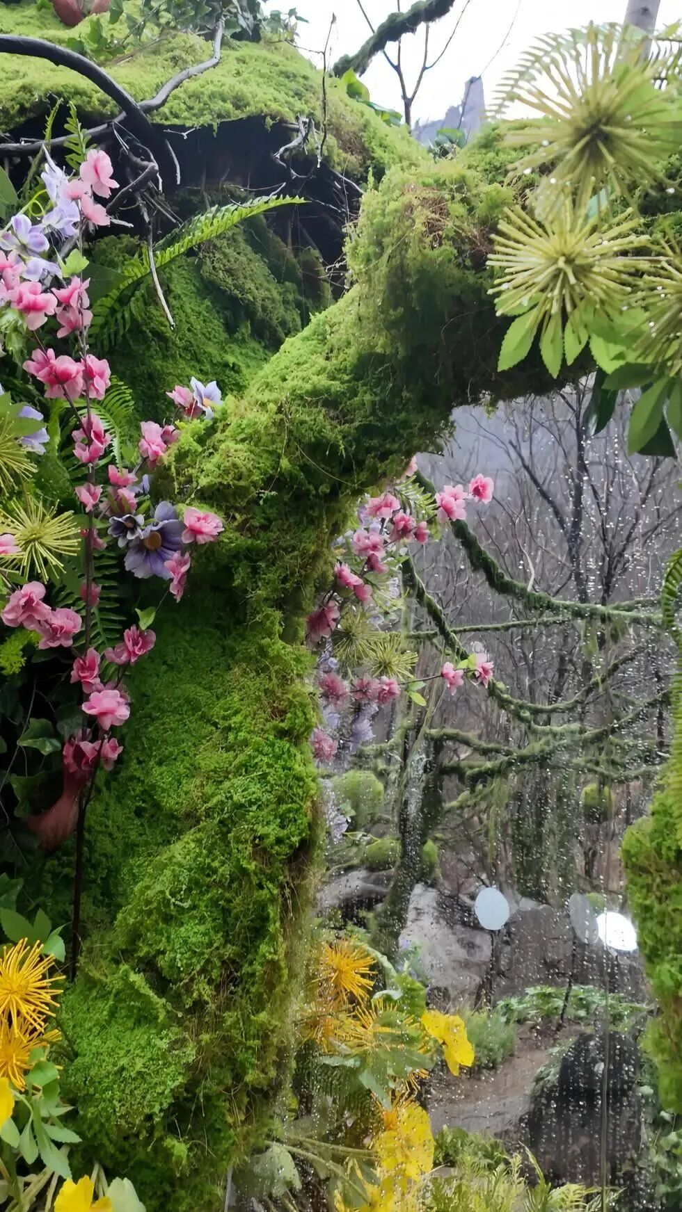 一眼心动!新乡南太行“鲁冰花海”上线 一眼心动!新乡南太行“鲁冰花海”上线