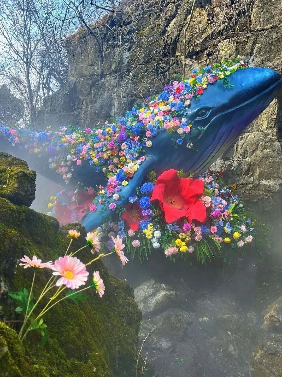 一眼心动!新乡南太行“鲁冰花海”上线 一眼心动!新乡南太行“鲁冰花海”上线