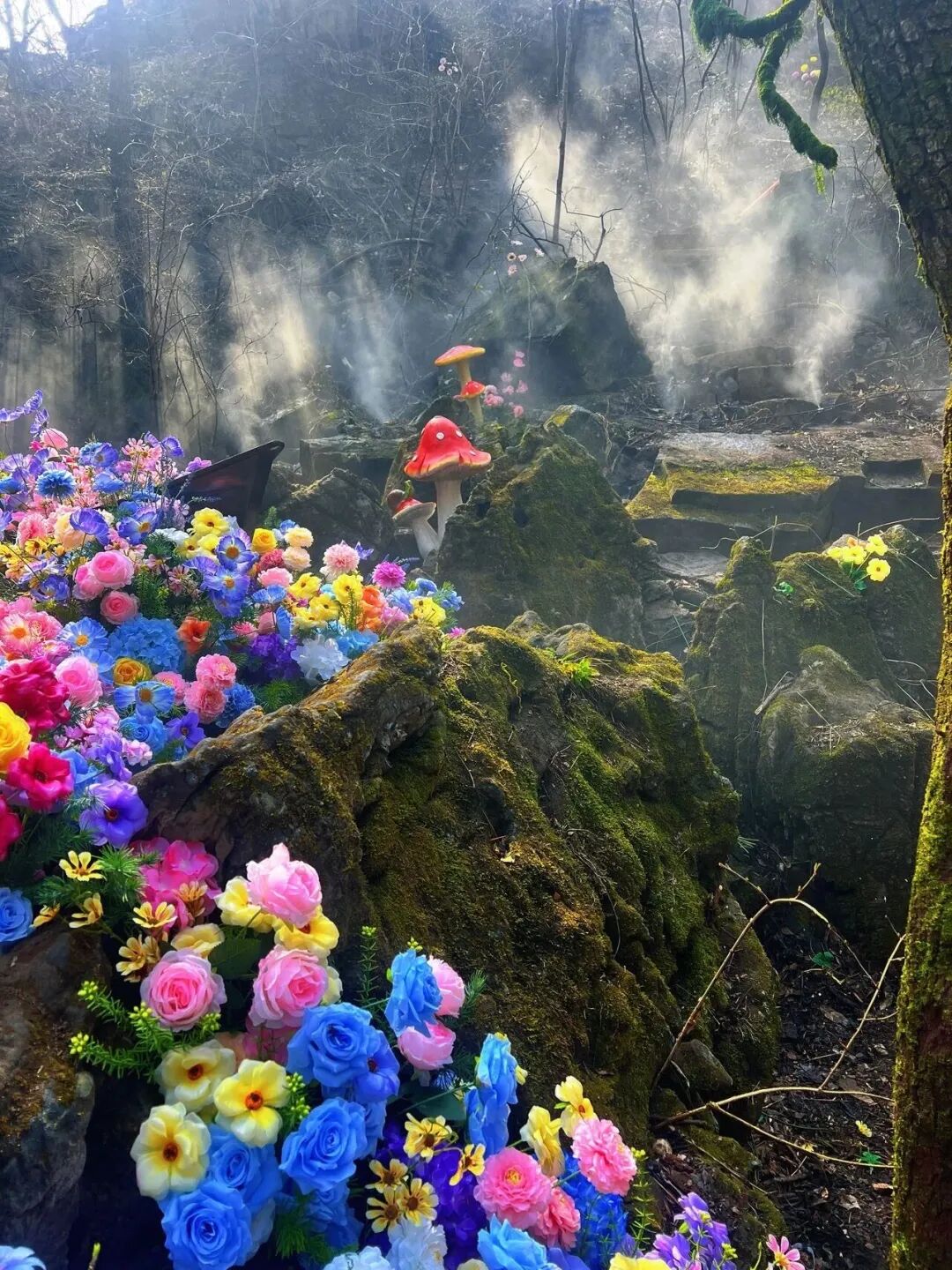 一眼心动!新乡南太行“鲁冰花海”上线 一眼心动!新乡南太行“鲁冰花海”上线