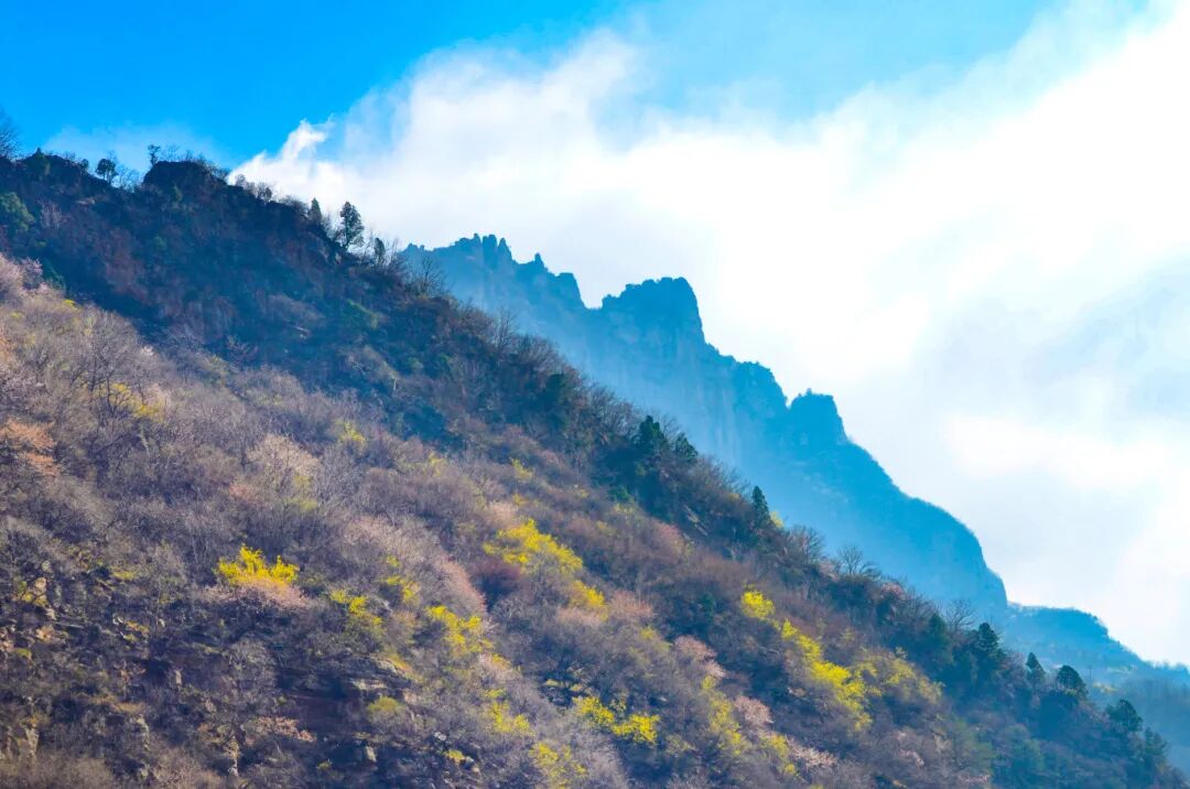 一眼心动!新乡南太行“鲁冰花海”上线 一眼心动!新乡南太行“鲁冰花海”上线