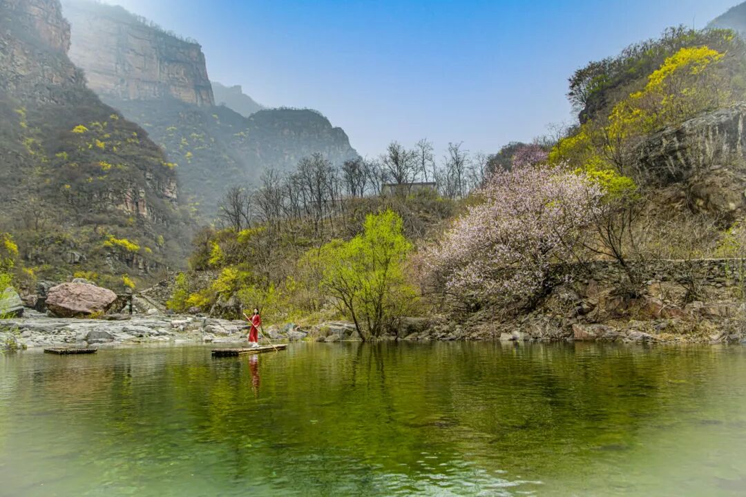 一眼心动!新乡南太行“鲁冰花海”上线 一眼心动!新乡南太行“鲁冰花海”上线