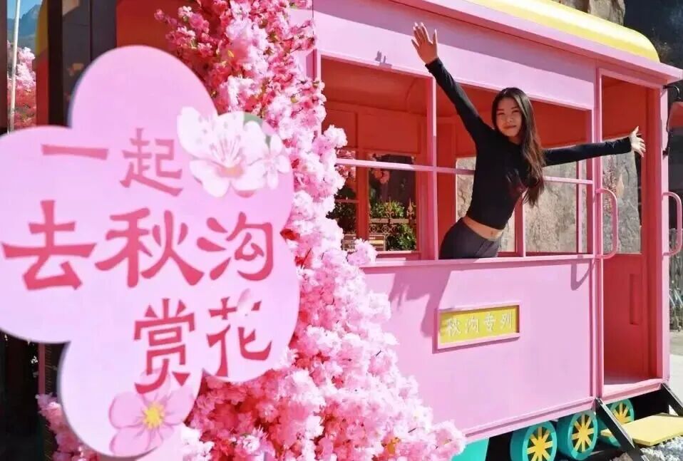 一眼心动!新乡南太行“鲁冰花海”上线 一眼心动!新乡南太行“鲁冰花海”上线