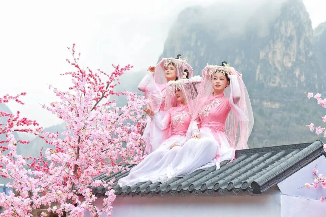 一眼心动!新乡南太行“鲁冰花海”上线 一眼心动!新乡南太行“鲁冰花海”上线