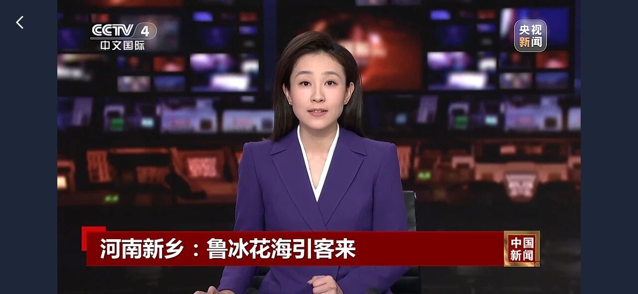 惊艳出圈！央视聚焦鲁冰花海，就藏在八里沟！