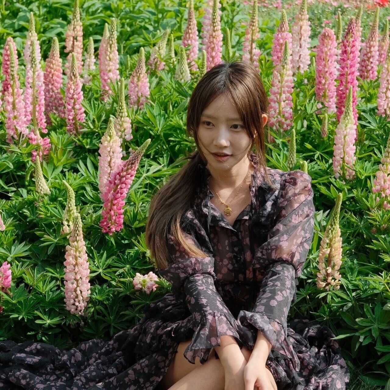 惊艳出圈！央视聚焦鲁冰花海，就藏在八里沟！