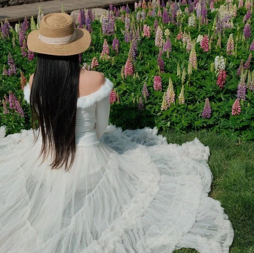 惊艳出圈！央视聚焦鲁冰花海，就藏在八里沟！