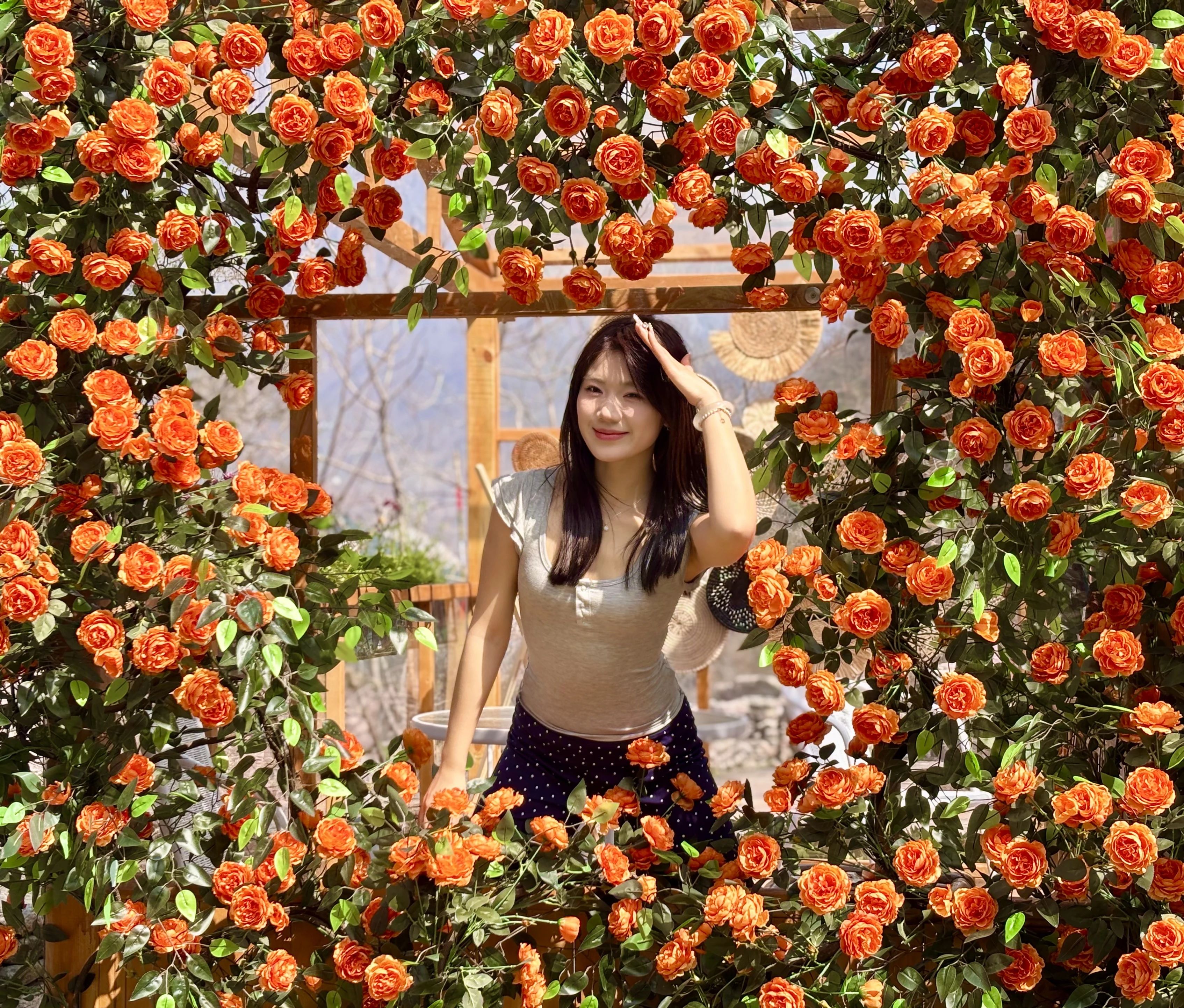 小时候听了“一千遍”的鲁冰花，原来长这样！