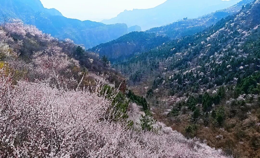 读懂太行|国家地理盛赞的南太行,四月到底有多绝? 读懂太行|国家地理盛赞的南太行,四月到底有多绝?