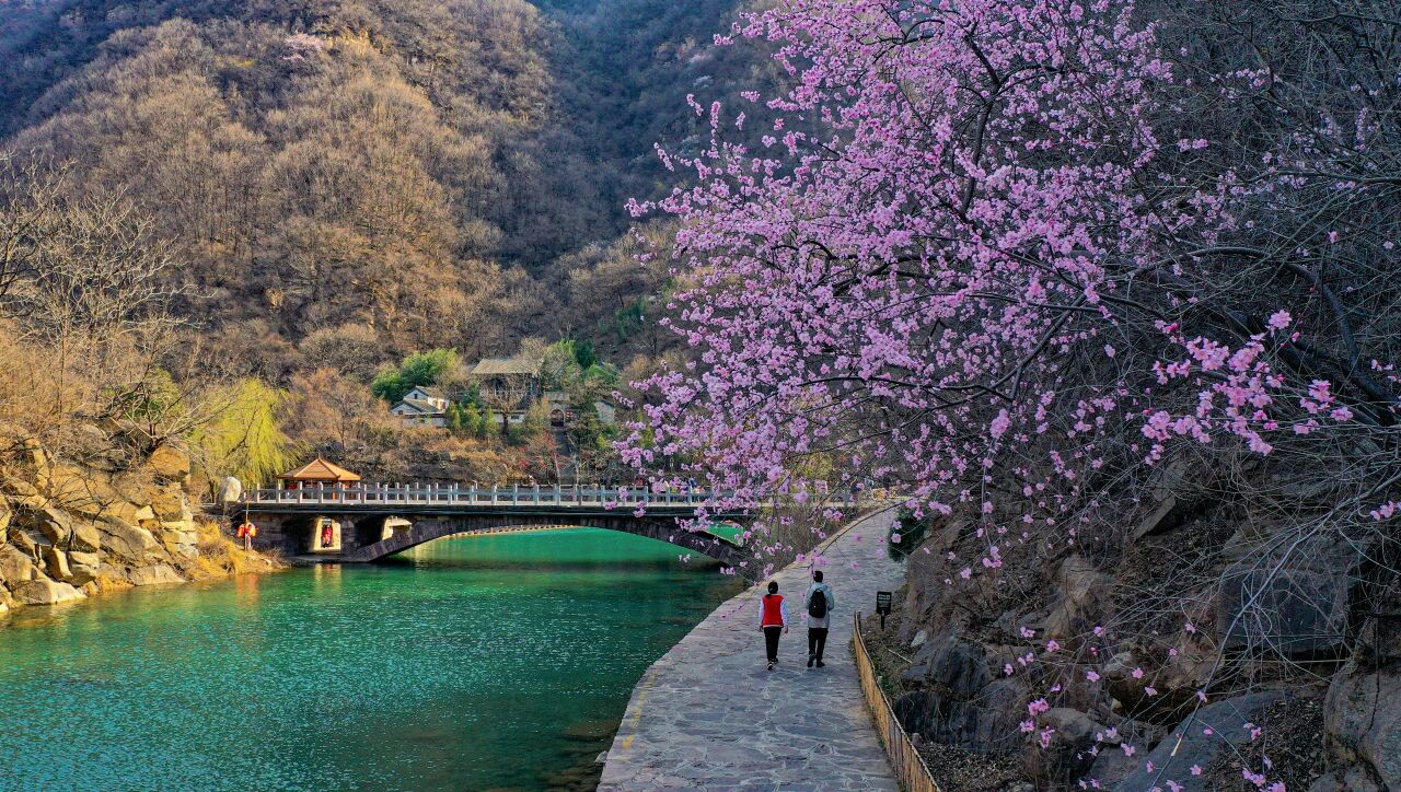 读懂太行|国家地理盛赞的南太行,四月到底有多绝? 读懂太行|国家地理盛赞的南太行,四月到底有多绝?