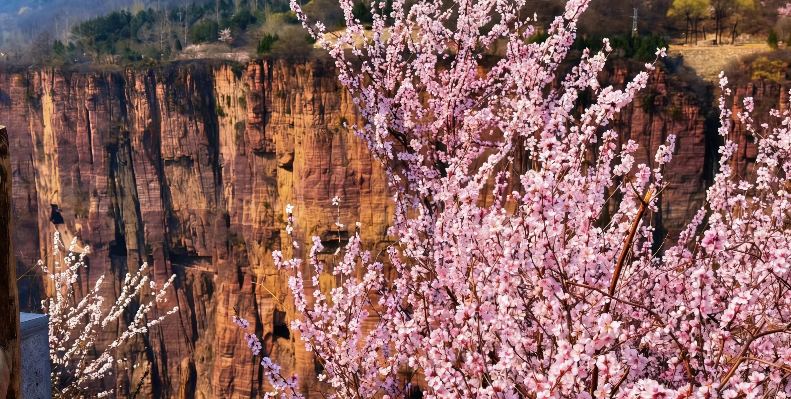 读懂太行|国家地理盛赞的南太行,四月到底有多绝? 读懂太行|国家地理盛赞的南太行,四月到底有多绝?