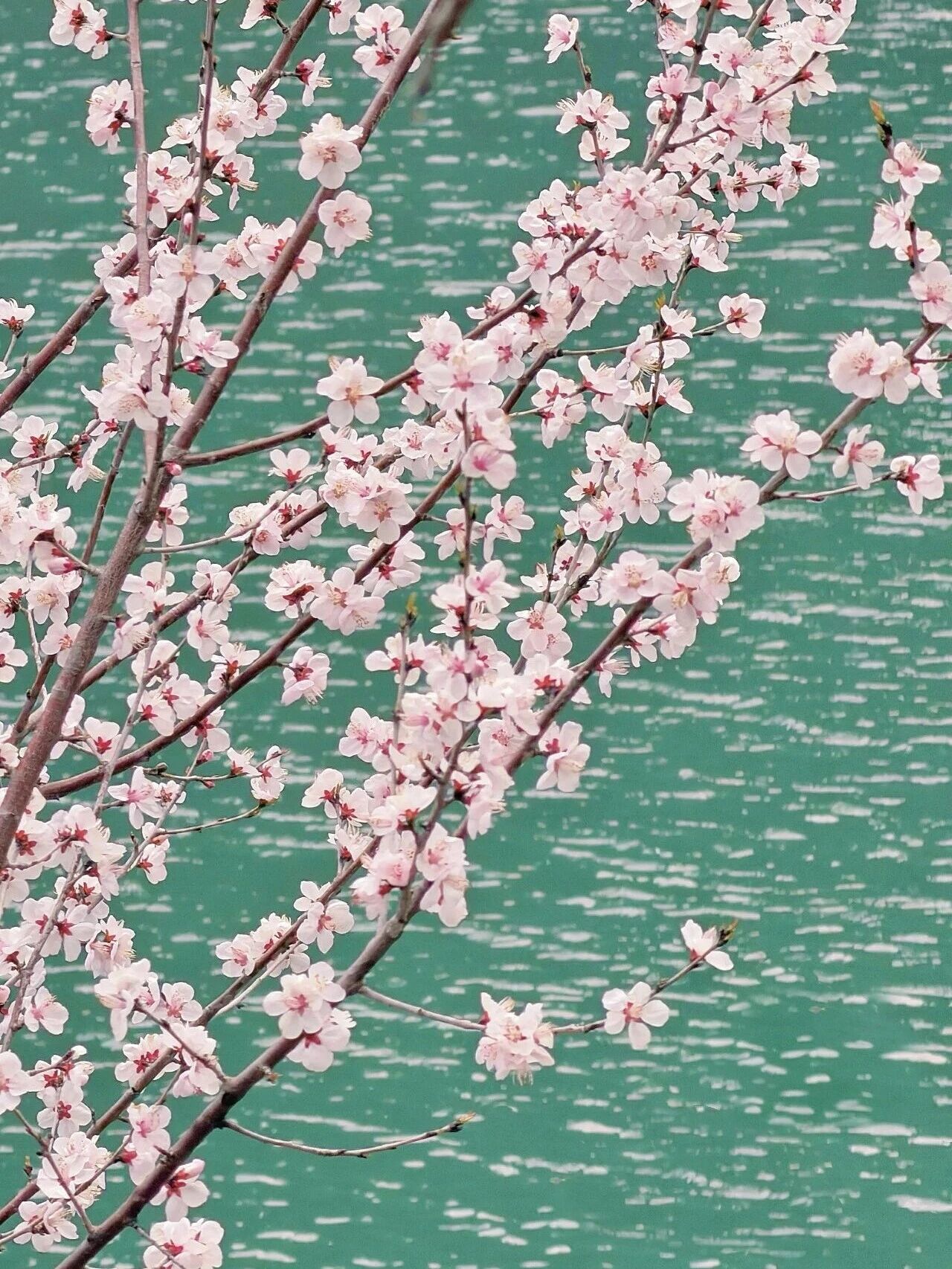 错峰游新乡南太行，真香！