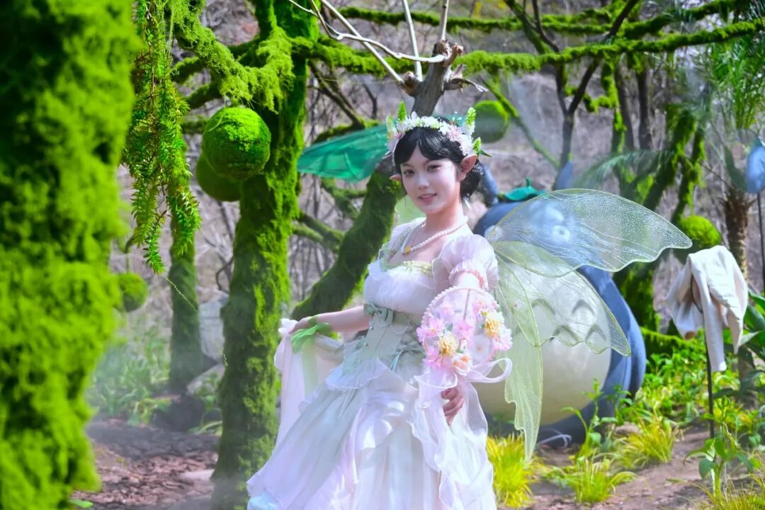 刷到就出发!八里沟的鲁冰花太治愈了~ 刷到就出发!八里沟的鲁冰花太治愈了~