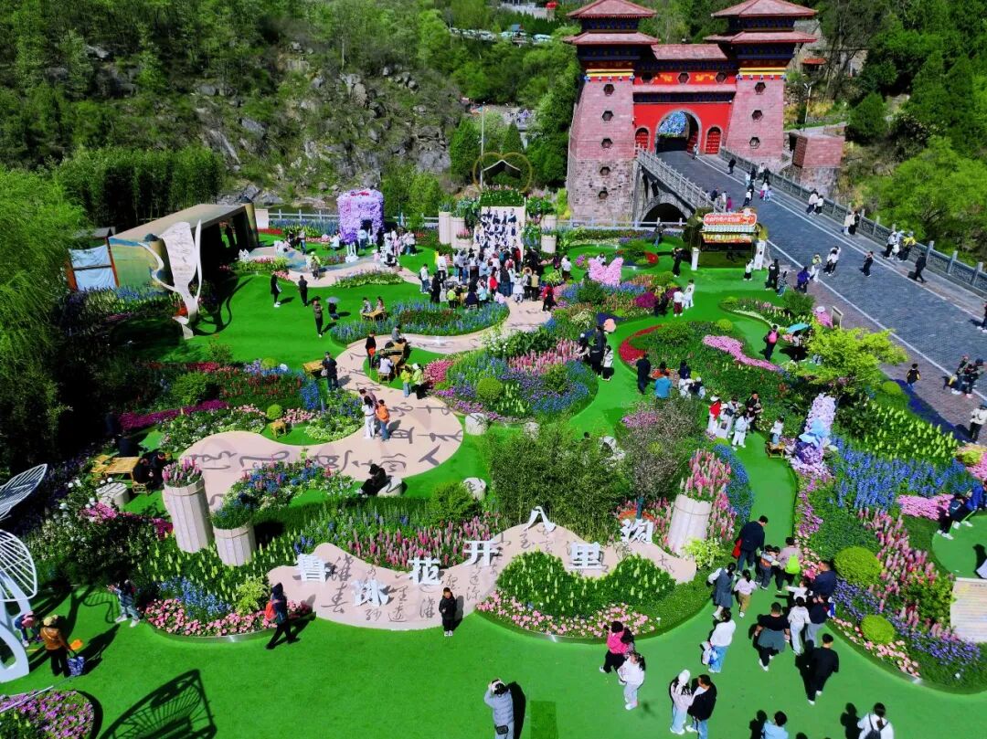 刷到就出发!八里沟的鲁冰花太治愈了~ 刷到就出发!八里沟的鲁冰花太治愈了~