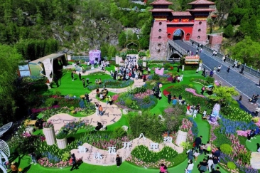 刷到就出发！八里沟的鲁冰花太治愈了~