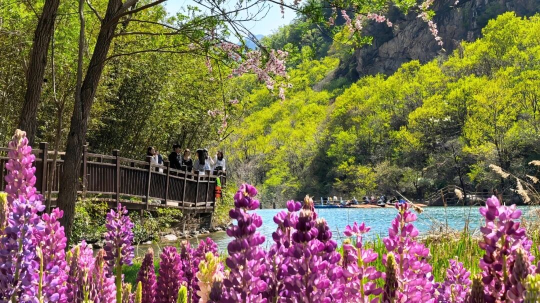 2026云上太行100越野赛|4月18日—19日热力开跑！