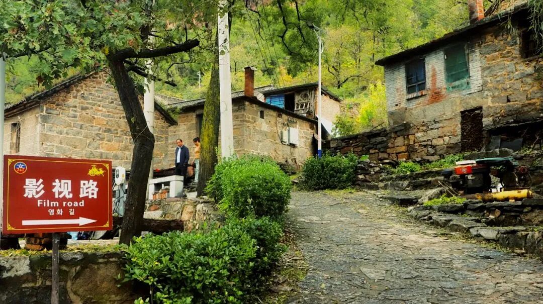 从《举起手来3》片场到周边，新乡南太行各景区春日正好！