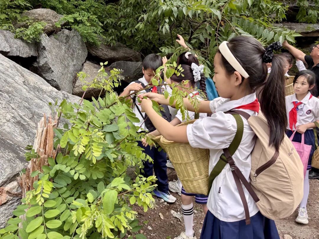 当“中国旅游日”遇上“百泉药交会” —— 2026南太行中医药旅游文化节开启“中药+旅游”康养新体验! 当“中国旅游日”遇上“百泉药交会” —— 2026南太行中医药旅游文化节开启“中药+旅游”康养新体验!
