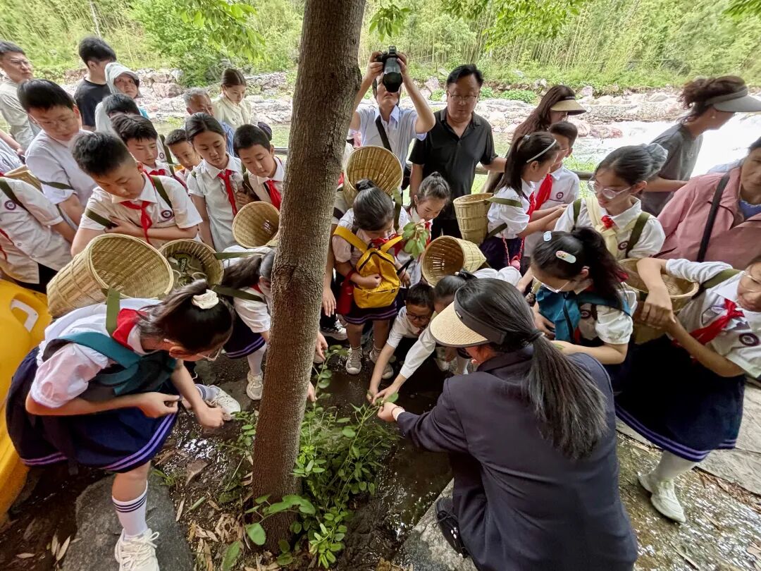 当“中国旅游日”遇上“百泉药交会” —— 2026南太行中医药旅游文化节开启“中药+旅游”康养新体验! 当“中国旅游日”遇上“百泉药交会” —— 2026南太行中医药旅游文化节开启“中药+旅游”康养新体验!