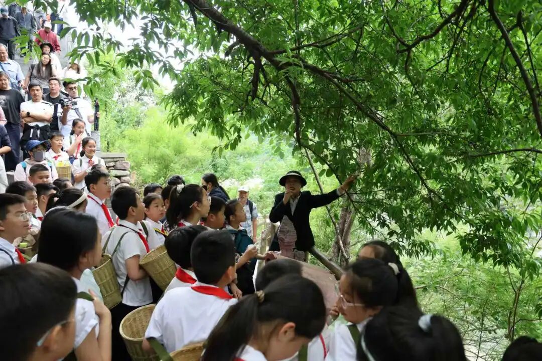 当“中国旅游日”遇上“百泉药交会” —— 2026南太行中医药旅游文化节开启“中药+旅游”康养新体验! 当“中国旅游日”遇上“百泉药交会” —— 2026南太行中医药旅游文化节开启“中药+旅游”康养新体验!