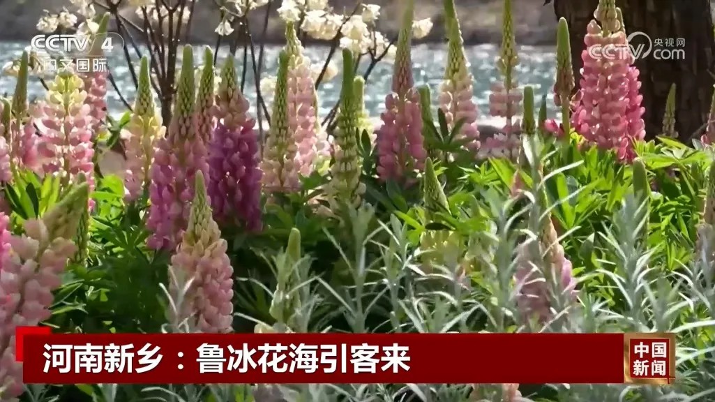 以光影为炬 扬太行新声 | 新乡南太行借力央媒擦亮文旅底色 以光影为炬 扬太行新声 | 新乡南太行借力央媒擦亮文旅底色