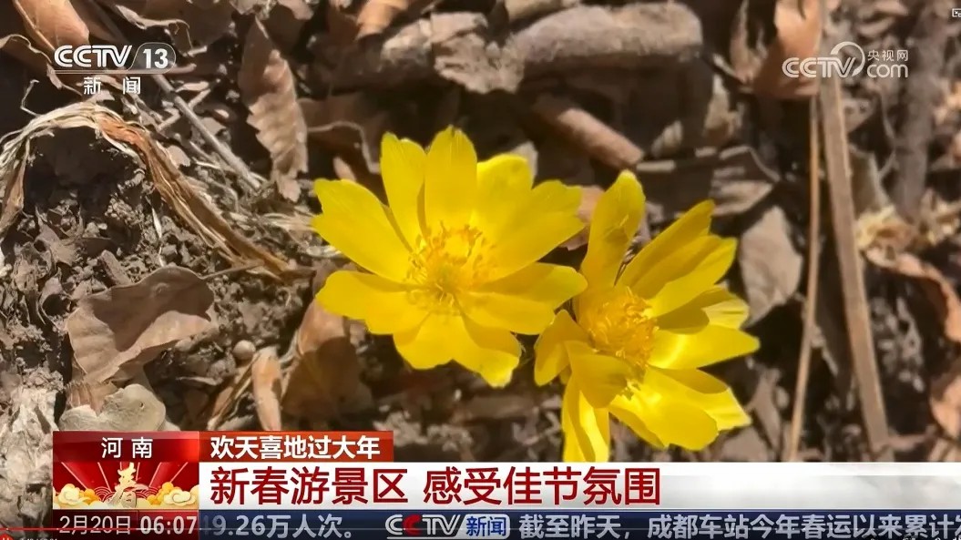 以光影为炬 扬太行新声 | 新乡南太行借力央媒擦亮文旅底色 以光影为炬 扬太行新声 | 新乡南太行借力央媒擦亮文旅底色