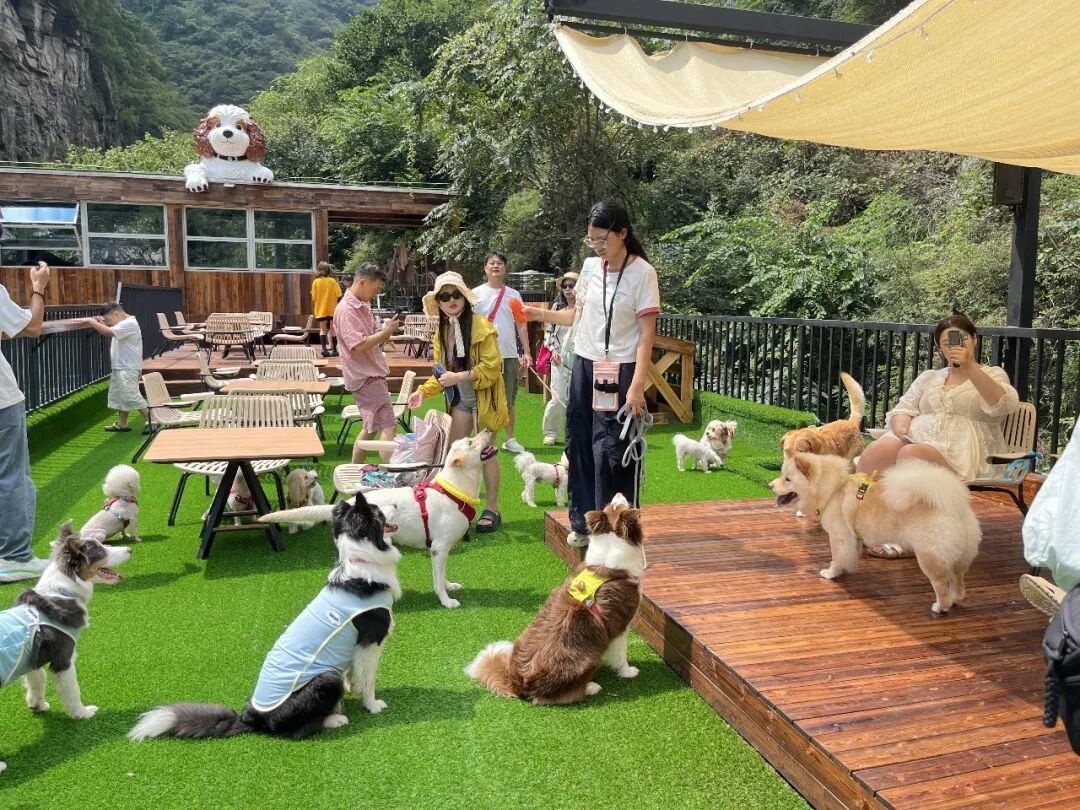 汪汪队集合,和铲屎官一起去关山狂欢喽! 汪汪队集合,和铲屎官一起去关山狂欢喽!