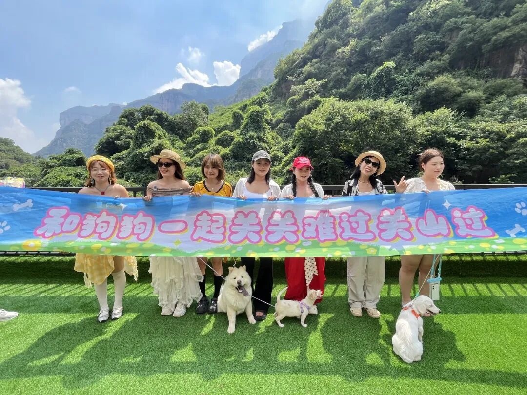 汪汪队集合,和铲屎官一起去关山狂欢喽! 汪汪队集合,和铲屎官一起去关山狂欢喽!