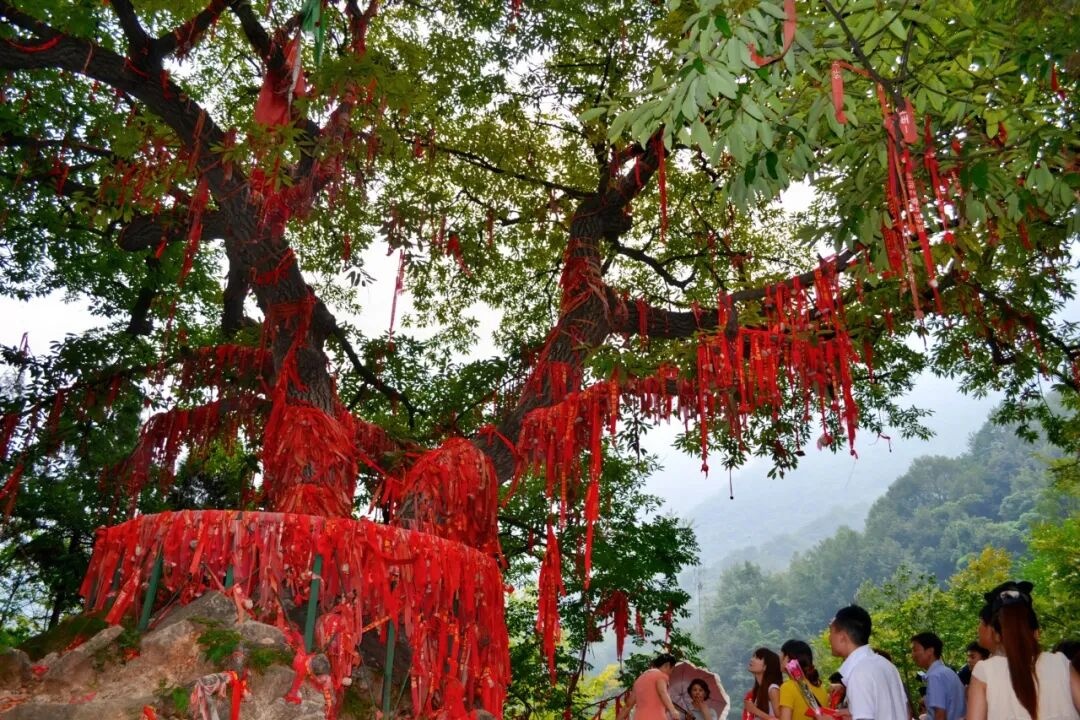 南太行：不止是山，是半部失传的华夏往事