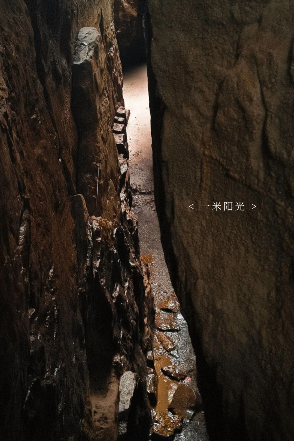 今日白露！新乡南太行“秋日限定彩妆盘”上线，每一帧都是高定色号！