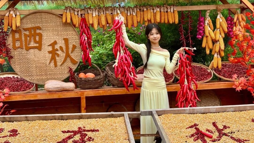 谁懂啊!新乡南太行放大招,门票优惠+秋日美景双重暴击 谁懂啊!新乡南太行放大招,门票优惠+秋日美景双重暴击