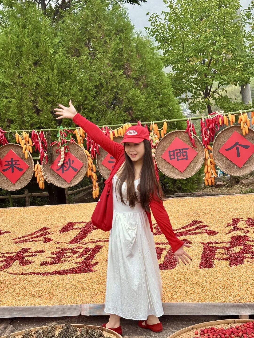 秋染南太行｜解锁山野限定浪漫，赴一场秋日山海之约！