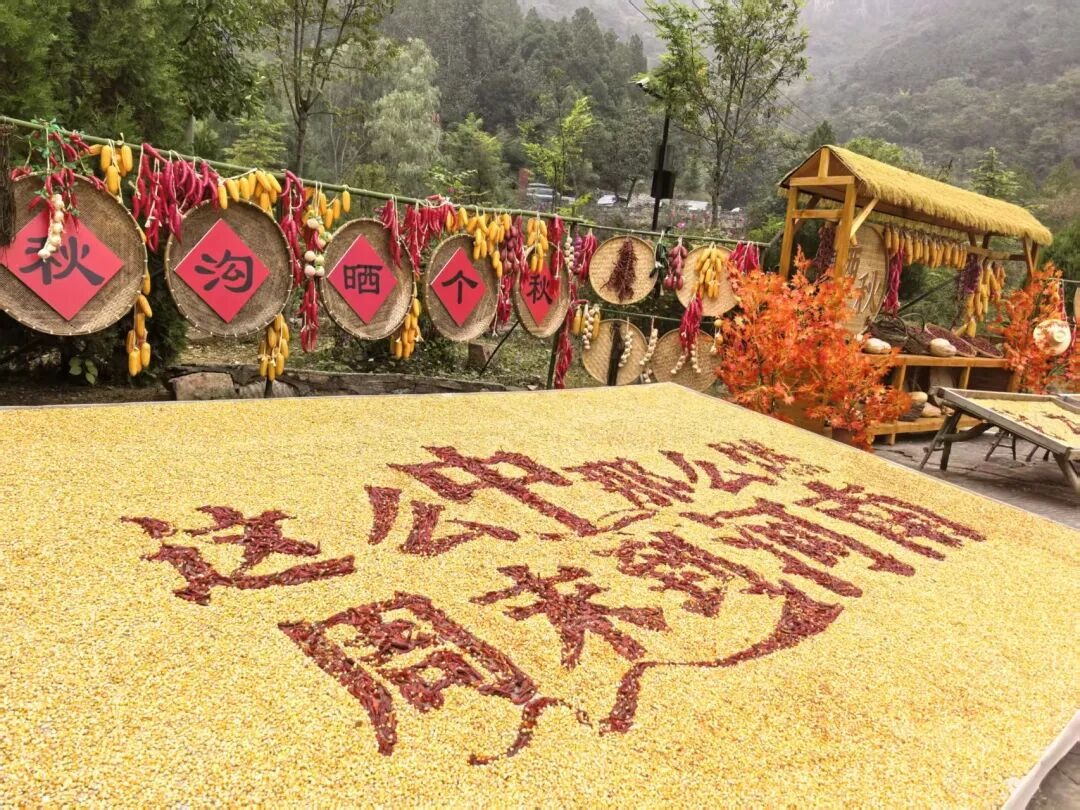 秋染南太行｜解锁山野限定浪漫，赴一场秋日山海之约！