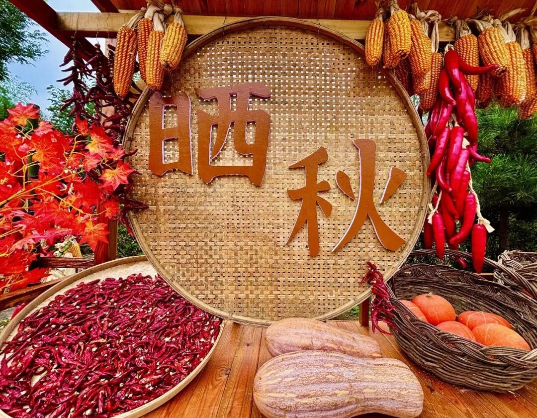 秋沟的秋天有多美?晒秋+红叶双在线! 秋沟的秋天有多美?晒秋+红叶双在线!