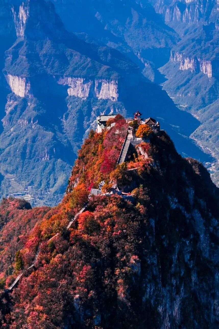 秋满南太行，新乡人的专属秋日福利来啦！